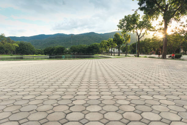 Best Residential Driveway Paver Services  in Mount Zion, IL